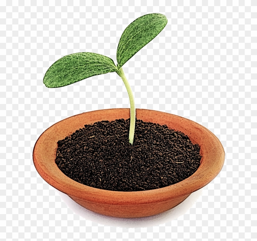 Return To Paradigm Change Resources Clipart