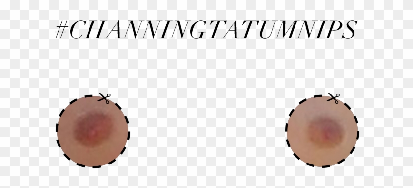 All The Files Are Also Transparent Pngs, So If People - Circle Clipart