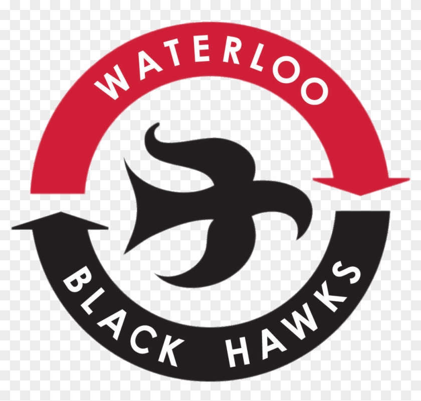Waterloo Black Hawks Logo - University Of Arkansas Football Logo Clipart