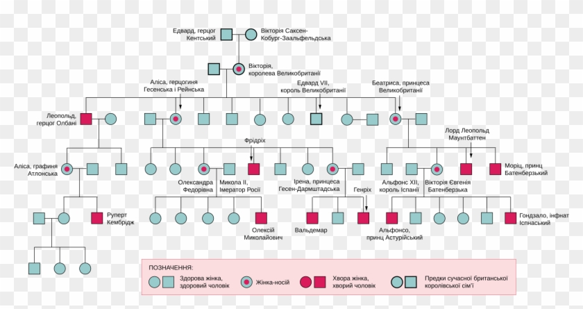 Queen Victoria Descendants Haemophilia - Queen Victoria Family Tree Haemophilia Clipart #802586