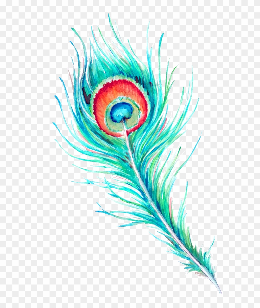 Peacock Feather Hd Beautiful Png Clipart #803108
