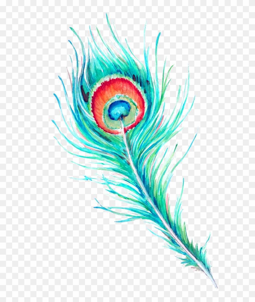 Peacock Feather Hd Beautiful Png Clipart