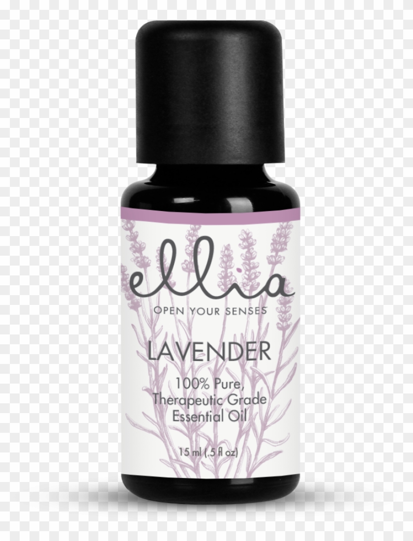 Rosemary Essential Oil 15ml Bottle Clipart #803507