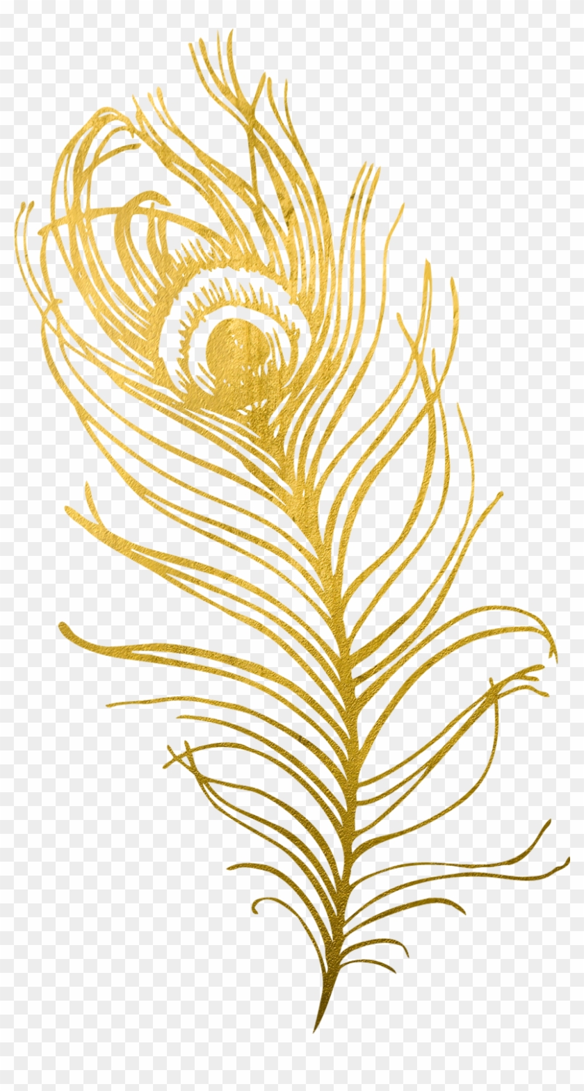 And Became My Life's Work - Golden Peacock Feather Png Clipart