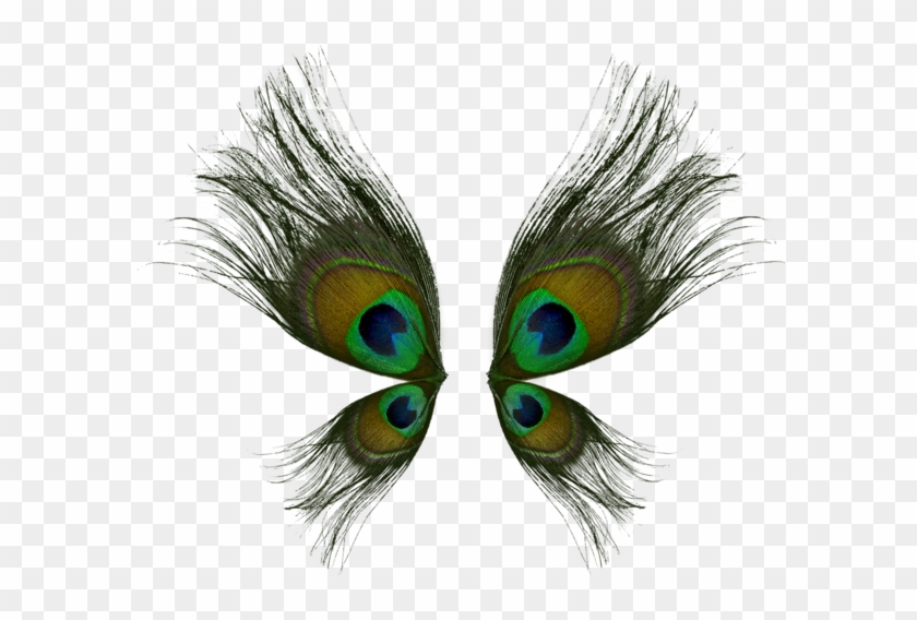 Make Butterfly Wings From Peacock Feathers, Frame In - Peacock Wings Clipart