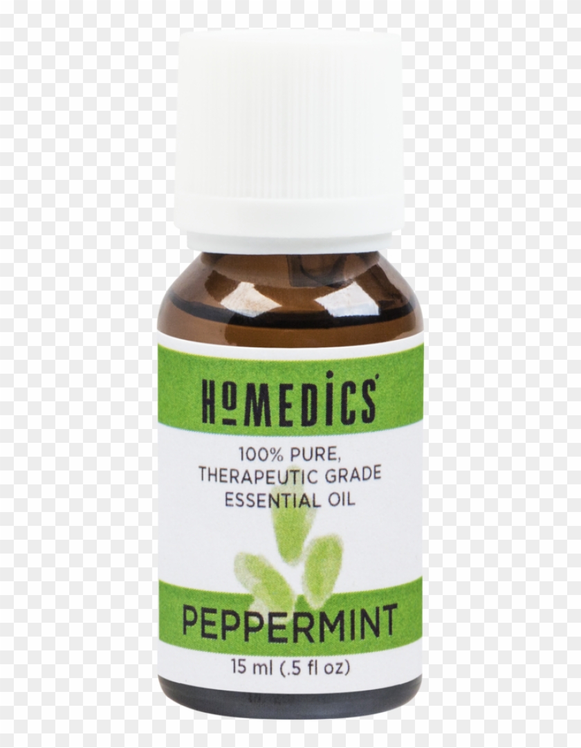 You'll Receive Offers, Special Discounts And Be The - Aloe Clipart #804155