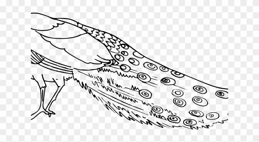 Peacock Clipart Peacock Feather - Clip Art - Png Download