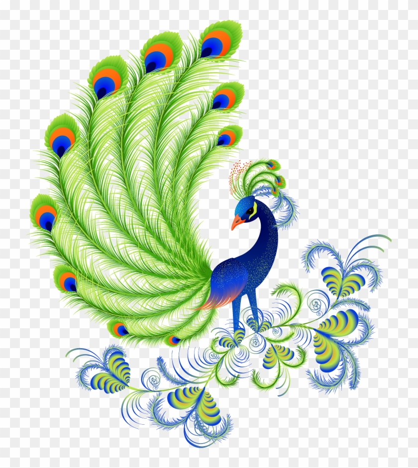 Cartoon Peacock Feathers - Peacock Beautiful Pictures Of Cartoon Clipart #804429