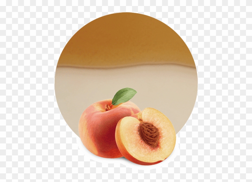 Com/wp Concentrate Clear - Nectarines Clipart #806740