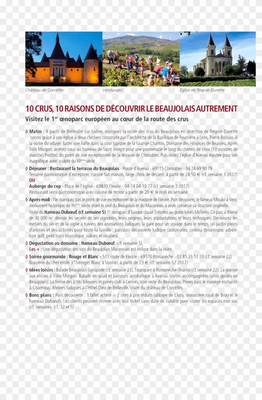 Beaujolais Jour 4 - Tourist Attraction Clipart