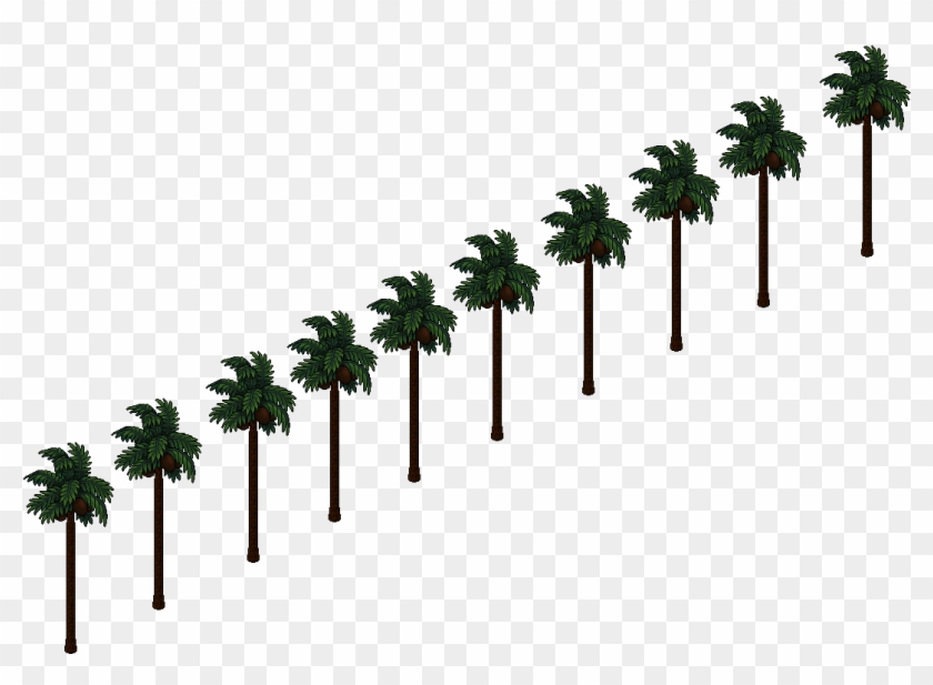 Palm Tree Clipart #808045
