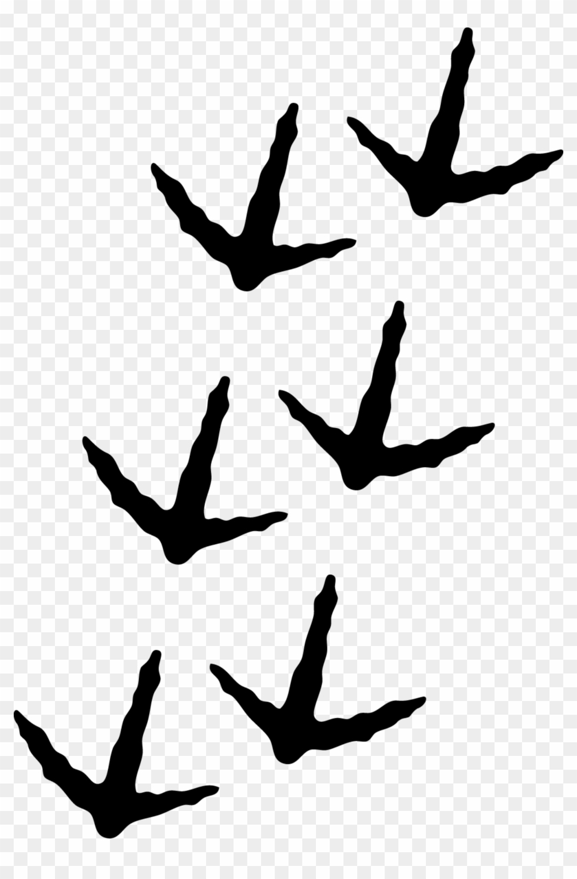 Turkey Tracks - Turkey Track Tattoo Clipart #809259