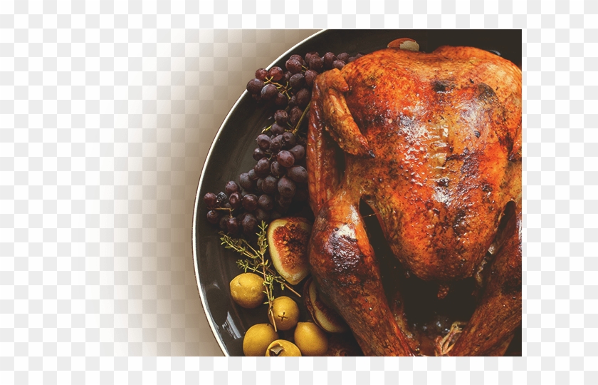 Thanksgiving-turkey - Beige Clipart #811249