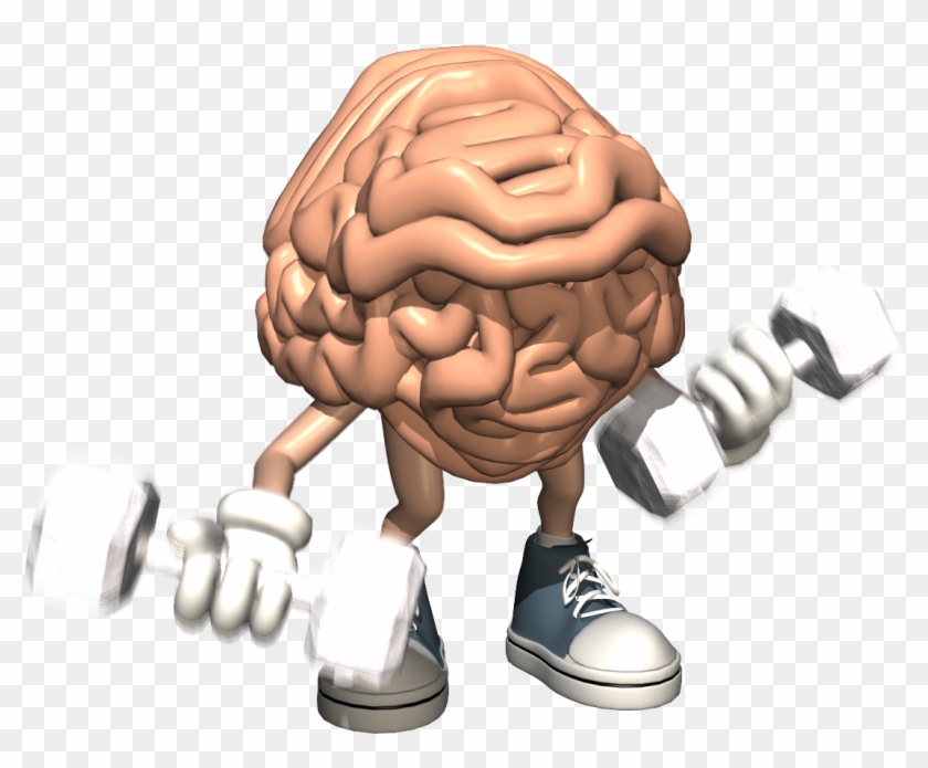 Does Your Brain Work Like A Muscle Clipart