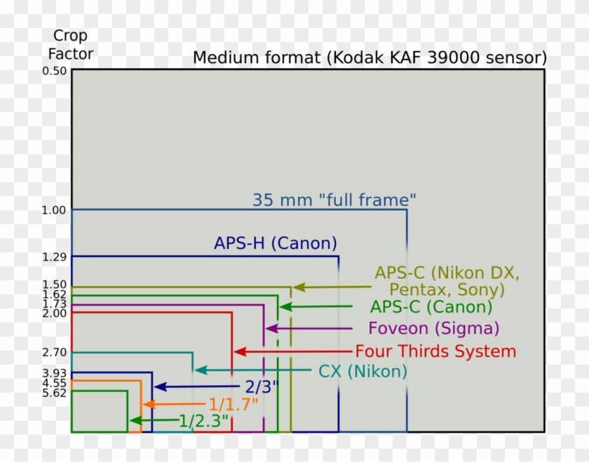 Canon, Nikon,sony, Pentax, Panasonic Sensor Size Comparison - Apc Vs Full Frame Clipart