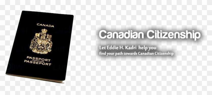 Detention And Removal Proceedings - Monarch Clipart