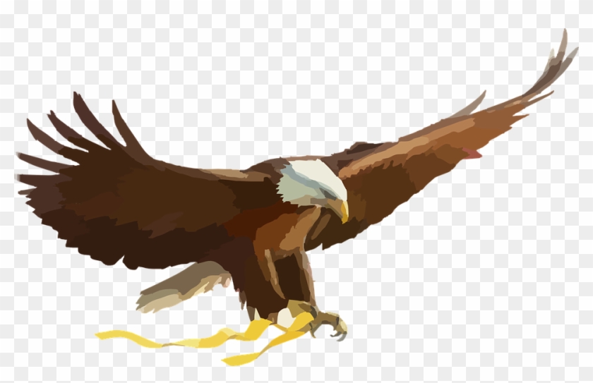 Golden Eagle Clipart Elang - Eagle Clipart Png Transparent Png #813754