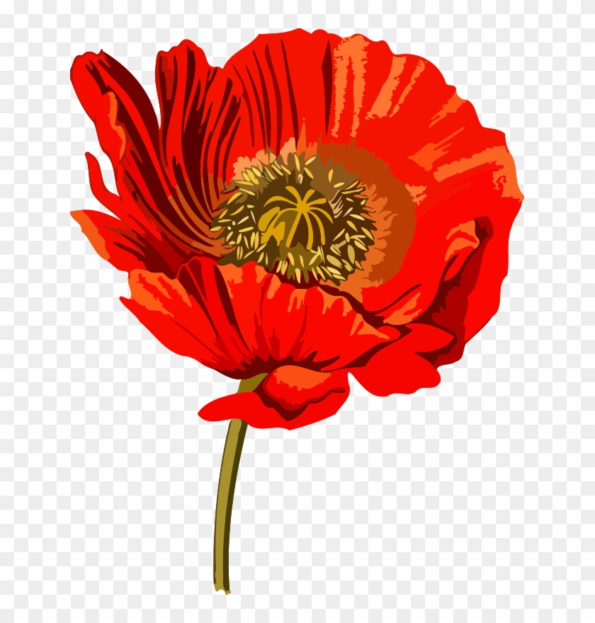 Medium Image - Opium Clipart Transparent - Png Download