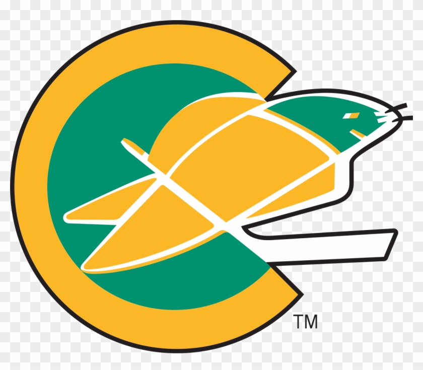 Https - //tinyurl - Com/jdpzpf4 - California Golden Seals Clipart #814585
