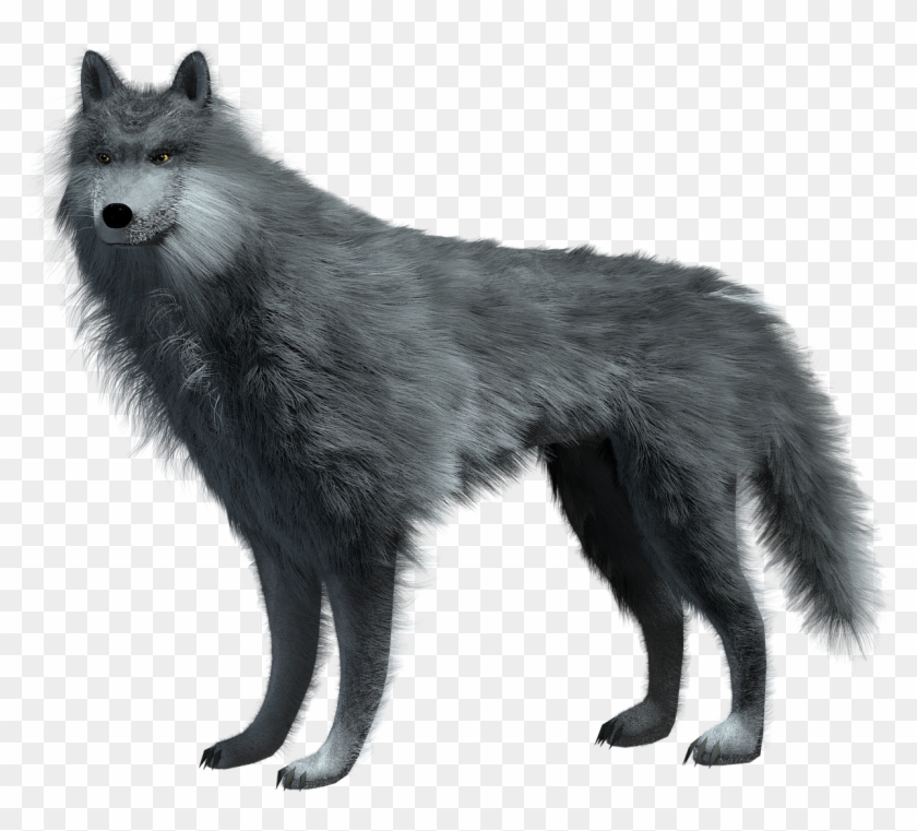 Cg Wolf - Gambar Serigala Png Clipart