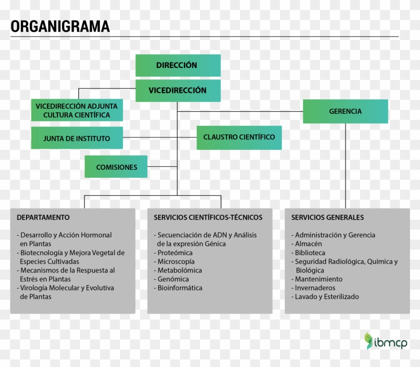 Organigrama Ibmcp - Organigrama De Un Invernadero Clipart #814805