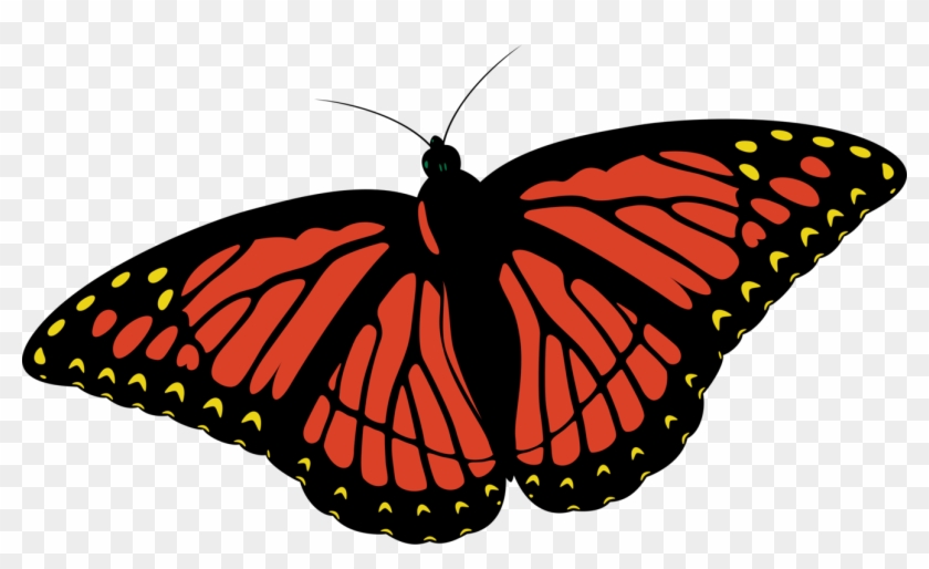 Monarch Butterfly Insect Coloring Book Drawing - Living Thing Clip Art - Png Download #814905