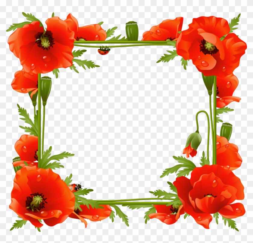 Poppies Transparent Frame - Poppies Frame Clipart #815015