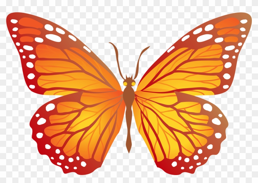Orange Butterfly Clipart Png Transparent Png