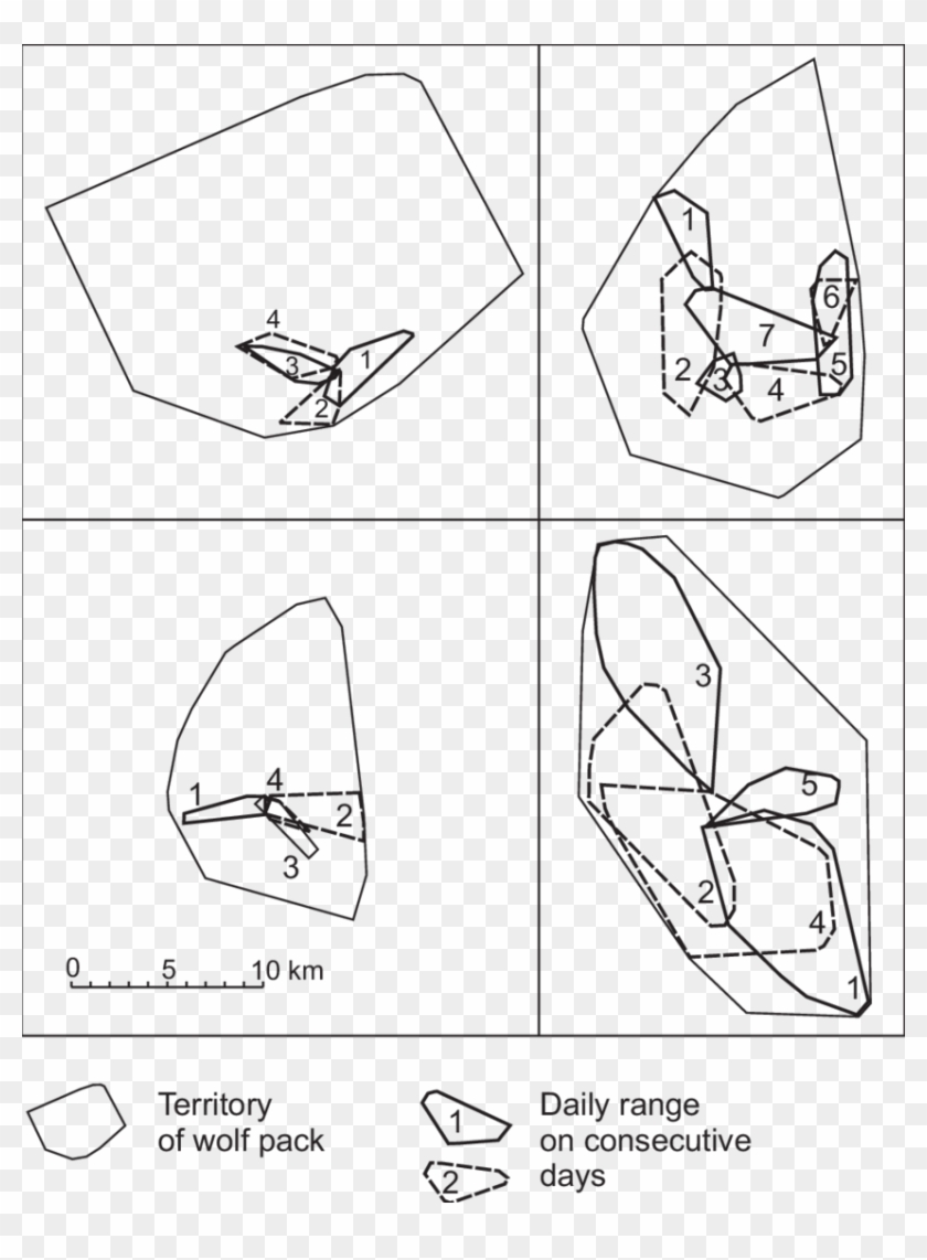 Examples Of Daily Ranges Of Wolves In Spring Summer - Line Art Clipart