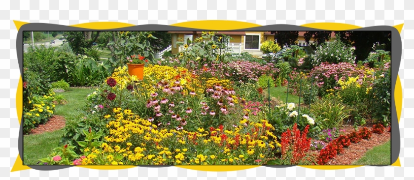 Butterfly Gardening - Gazania Clipart #815746