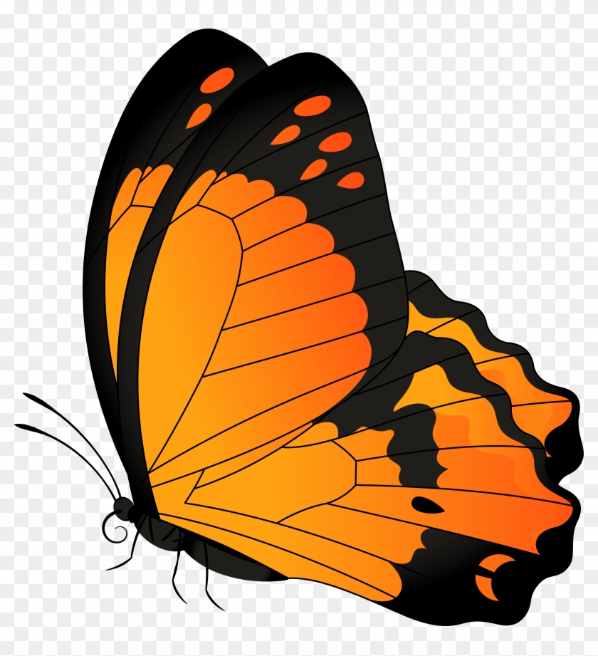 Monarch Butterfly Png Clipart #815763