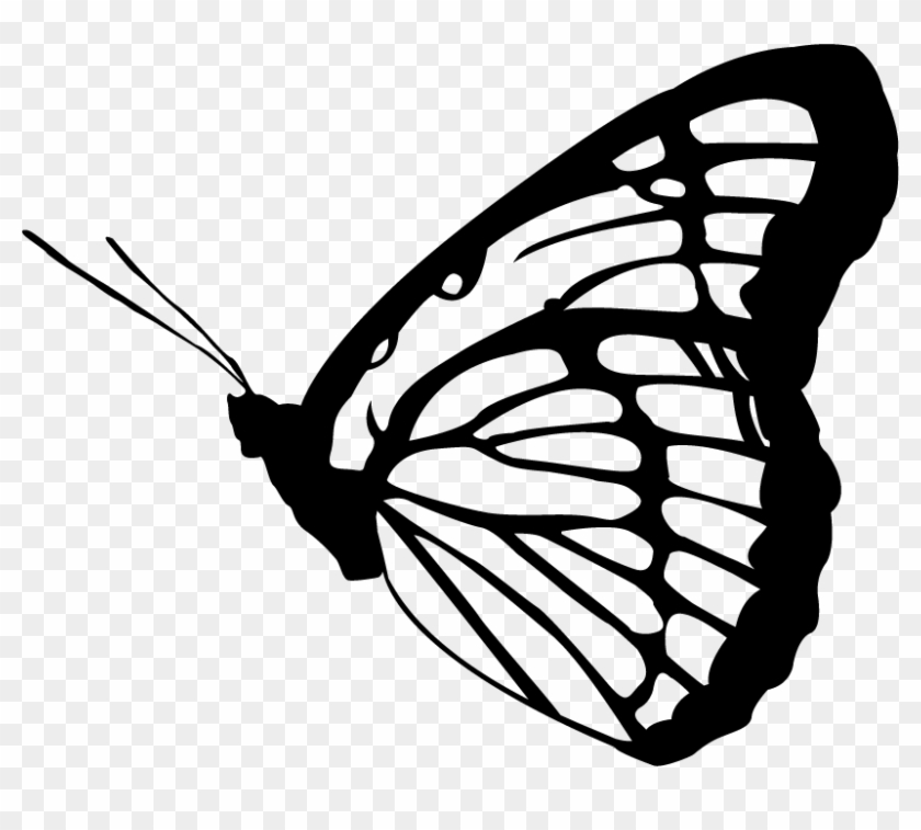 Monarch Butterfly Clipart Vector - Butterfly By William Wordsworth - Png Download