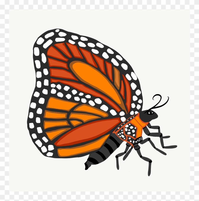 Monarch Butterfly - Illustration Clipart #815884