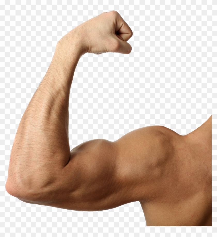 Muscle - Flexing Muscle Clipart #818367