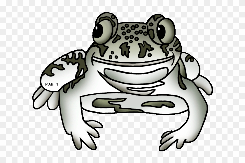 Toad Clipart Amphibian - Eastern Spadefoot - Png Download #818411