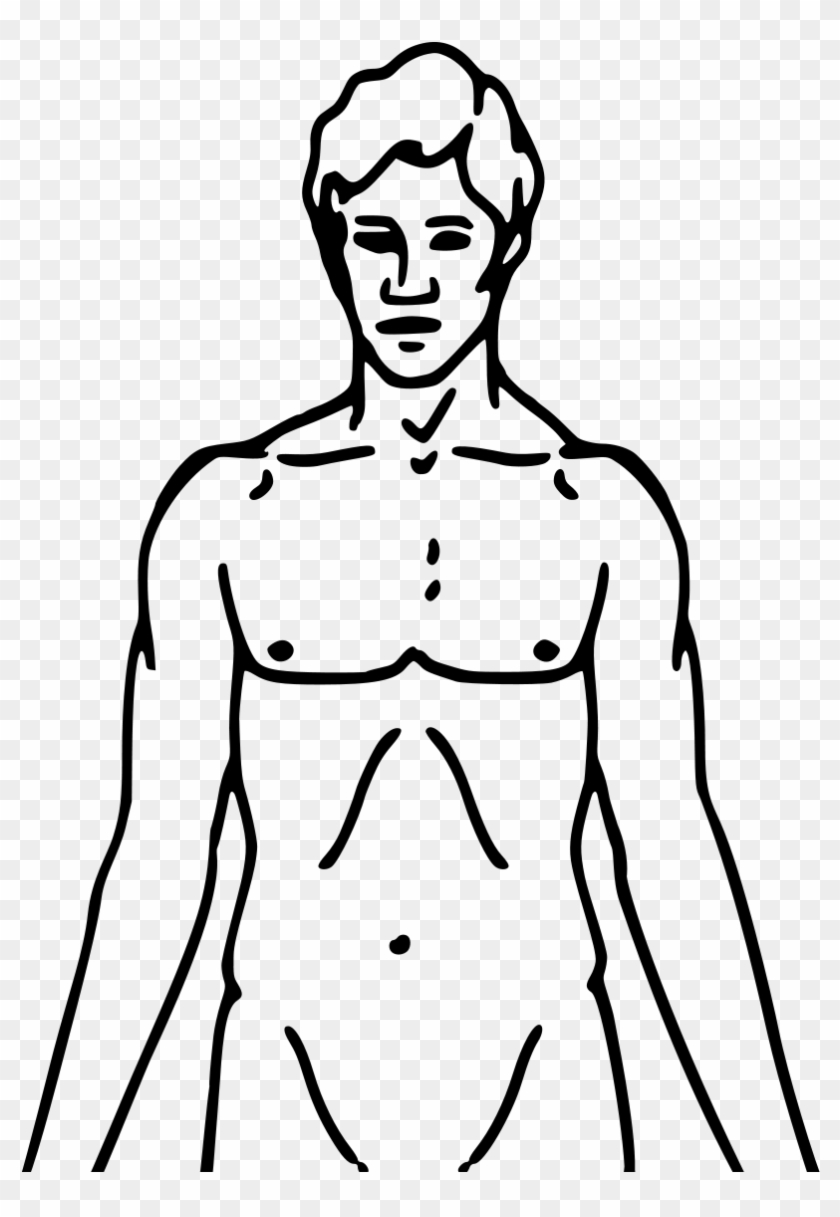 Pioneer Plaque Man Upper Body As Diagram Template - - Line Drawing Man Clipart