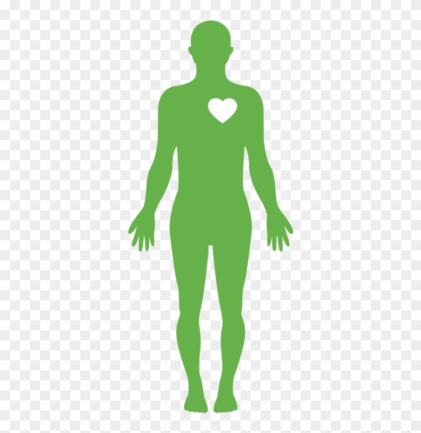 Body - Human Body Water Png Clipart #819134