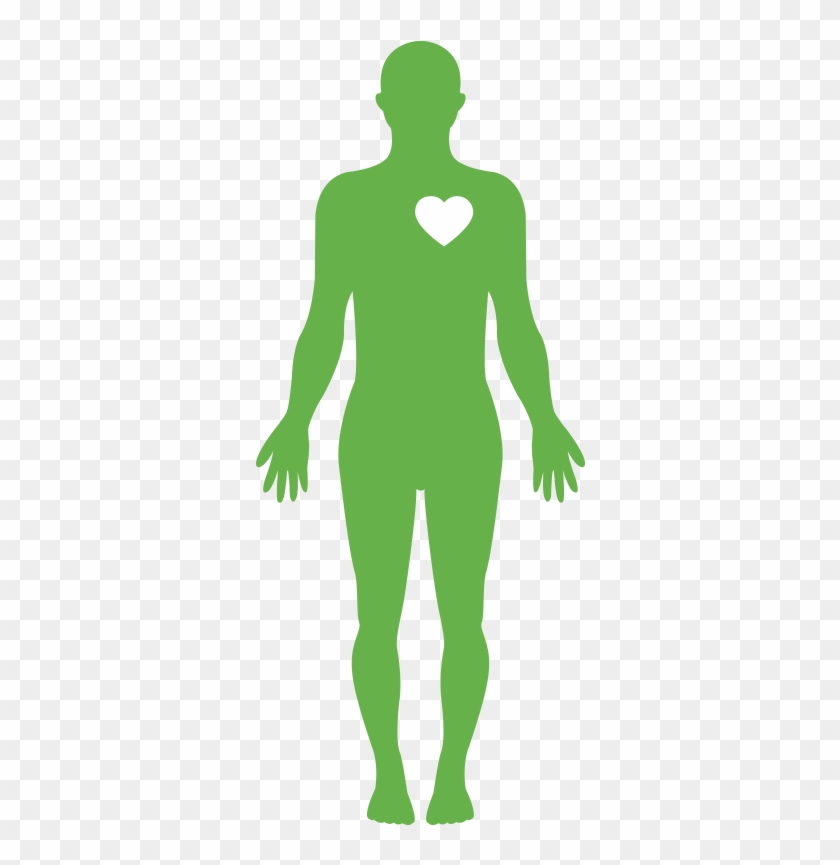 Body - Human Body Water Png Clipart