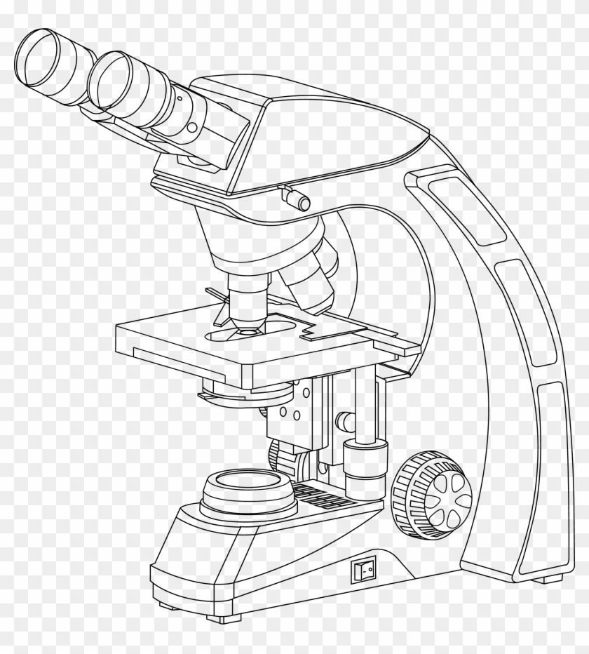 2333 X 2480 35 - Microscopio Optico Binocular Dibujo Clipart (#819158) -  PikPng