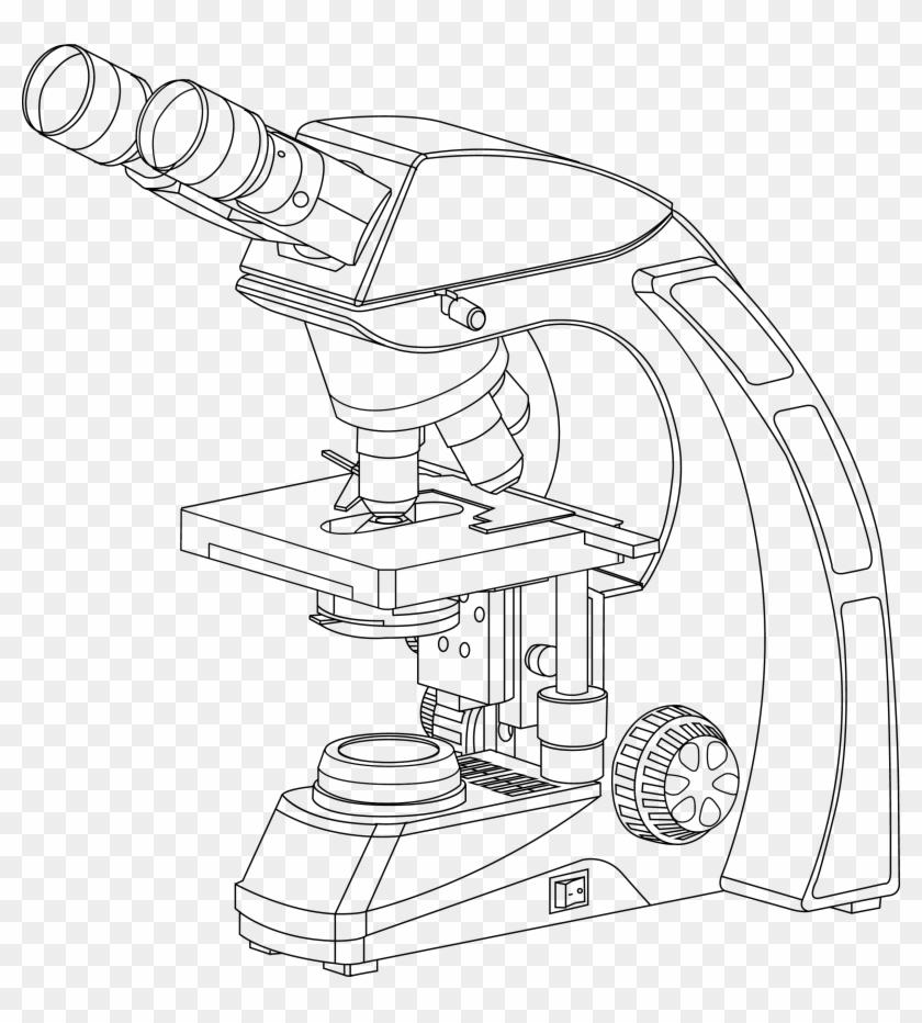 2333 X 2480 35 - Microscopio Optico Binocular Dibujo Clipart (#819158) - PikPng 2333 X 2480 35 - Microscopio Optico Binocular Dibujo Clipart (#819158) - PikPng