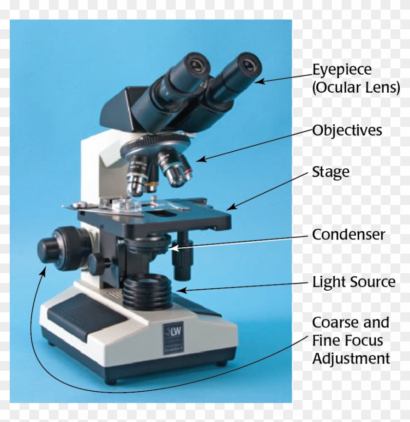 Labeled Microscope - Microscope Instrument Clipart