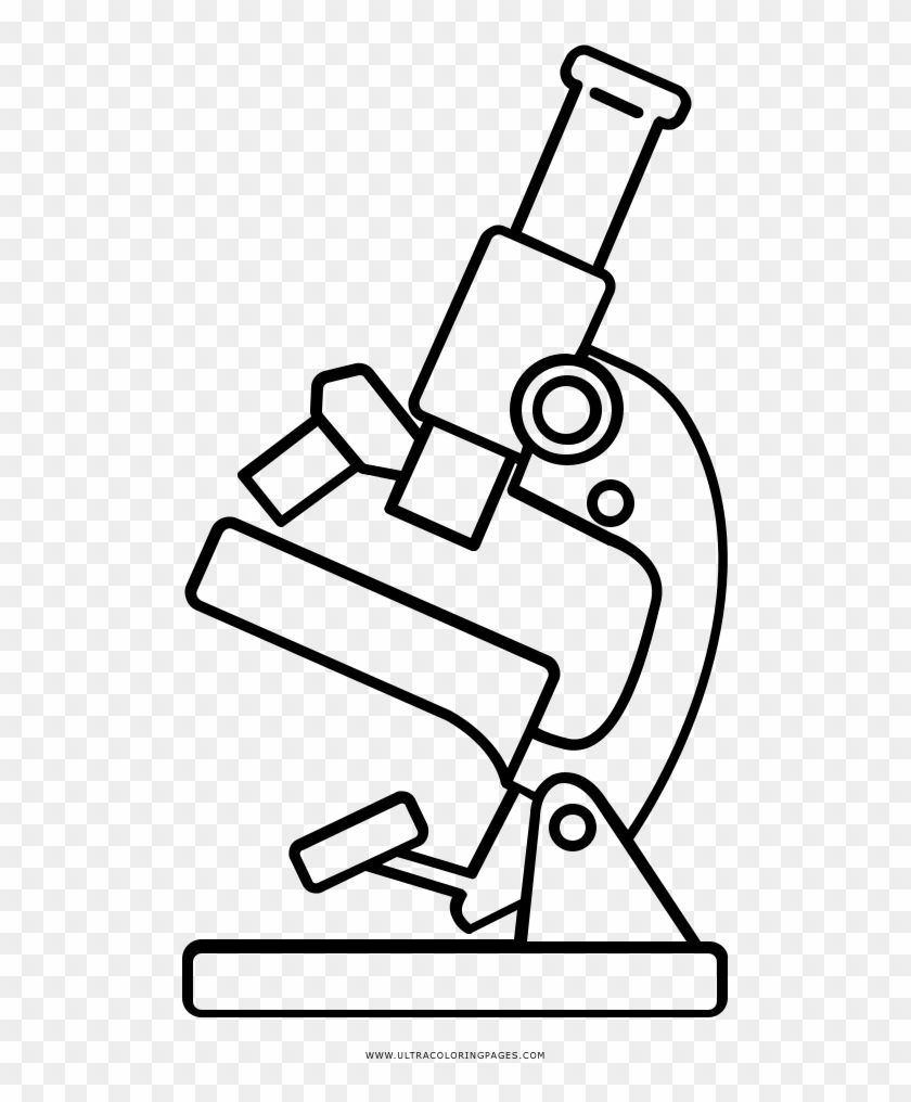 1000 X 1000 7 - Imagen De Microscopio Para Colorear Clipart