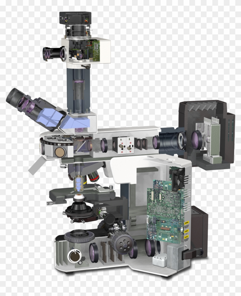 Olympus Bx51 Microscope Light - Olympus Bx51 Clipart #819829