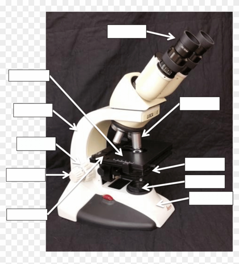 Label The Microscope Diagram - Robot Clipart #820055