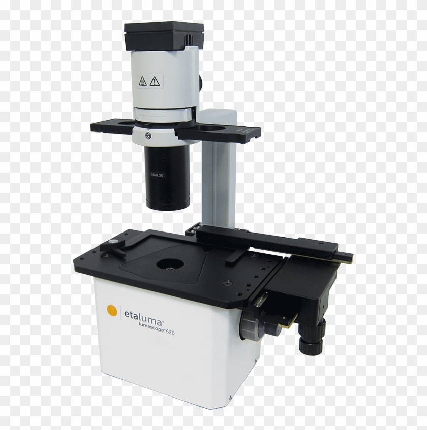4-channel Ls620 Microscope - Lumascope 620 Clipart #820200