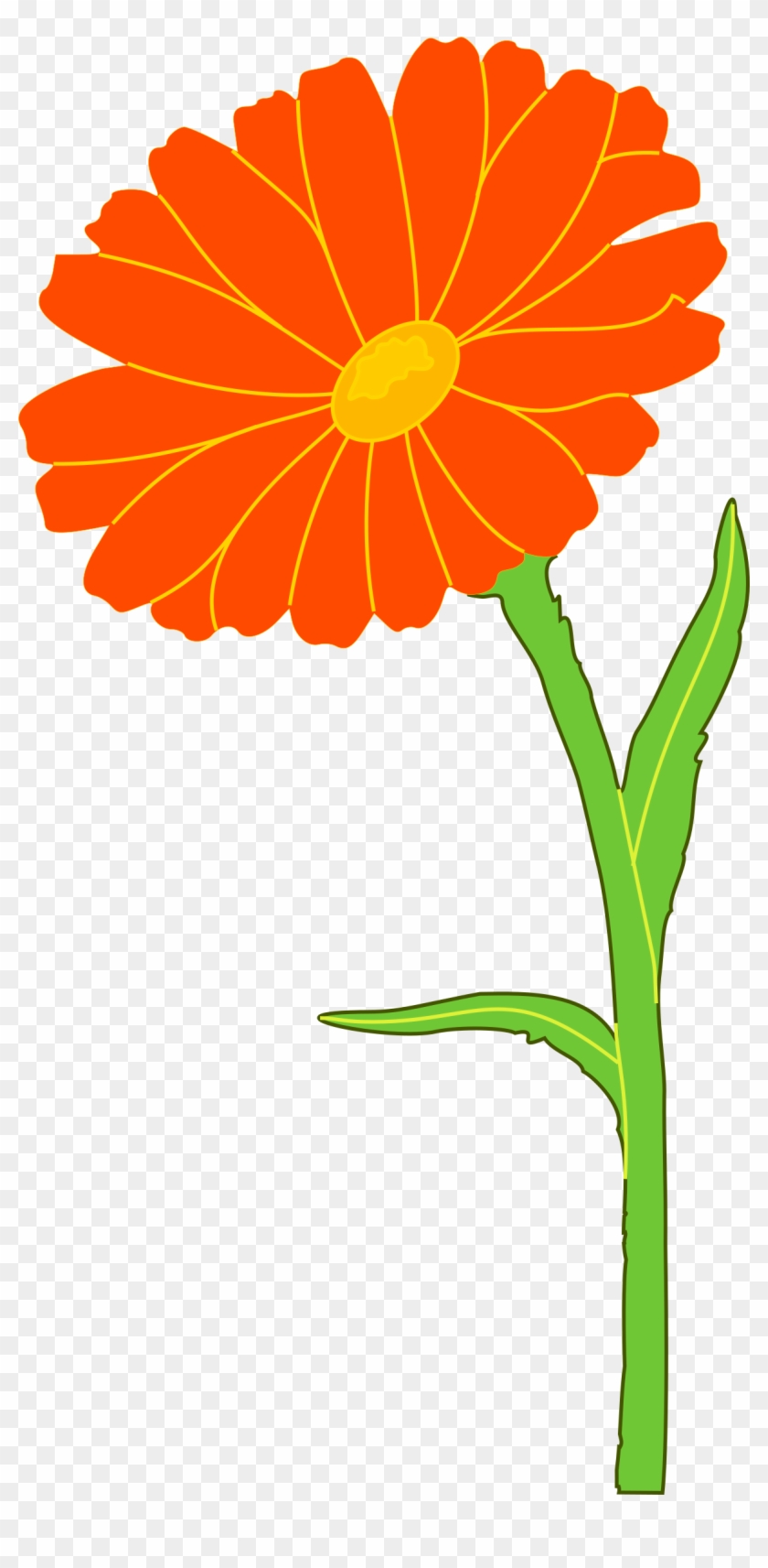 Marigold Free Cut Out - Marigold Clipart - Png Download #820532