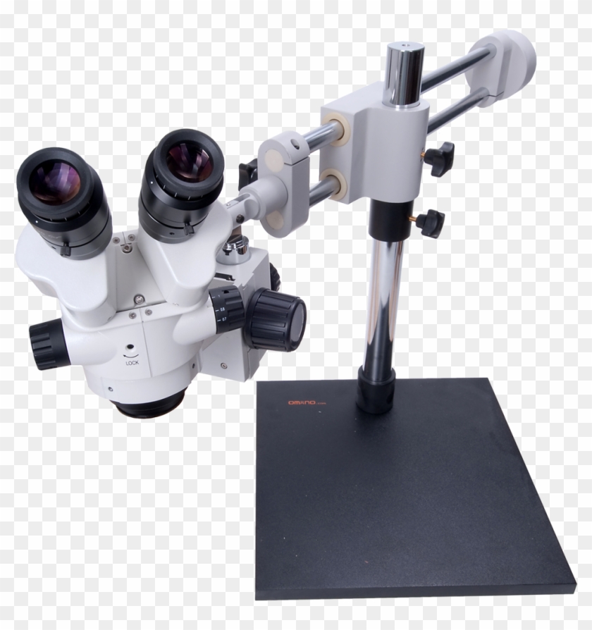 Com Wins Gold Award, Best Online Microscope Retailer, - Microscope Clipart #820533