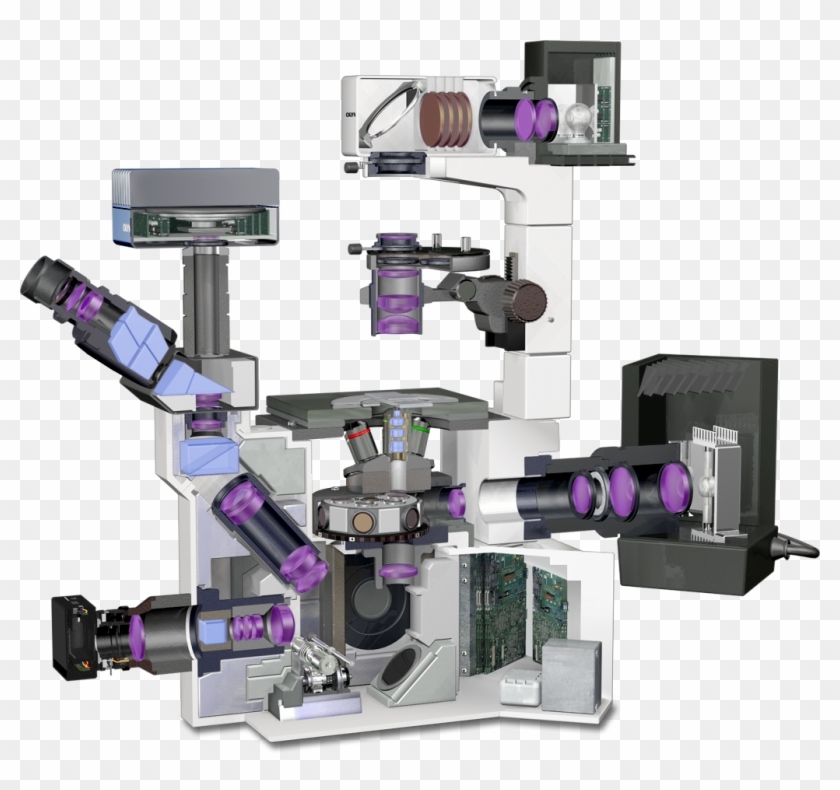 Olympus Ix70 Microscope Lightpath - Inverted Microscope Optical Path Clipart