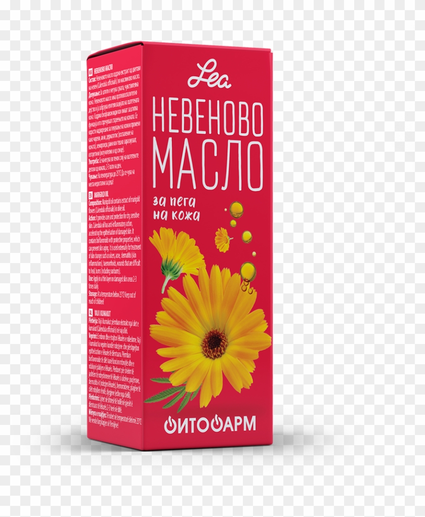 Marigold Oil Calendulae Oleum - African Daisy Clipart #821396