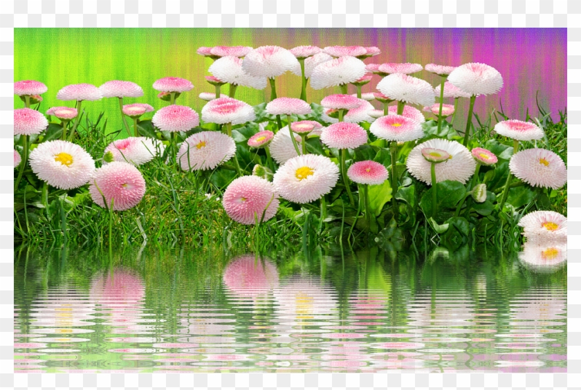 Meadow, Flowers, Summer, Nature, Grass, Garden - Flower Clipart #822322